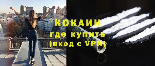 стаф Ладушкин