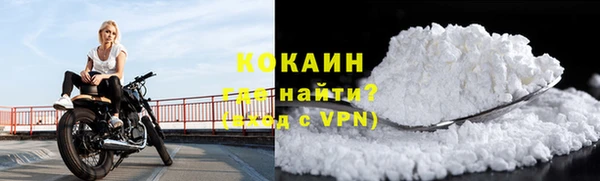 молекула духа Магадан