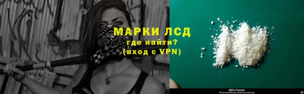 стаф Ладушкин