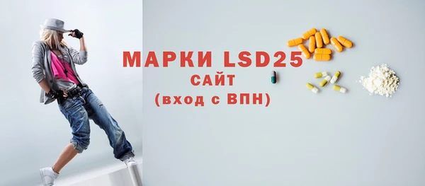 стаф Ладушкин
