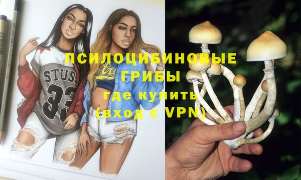 молекула духа Магадан