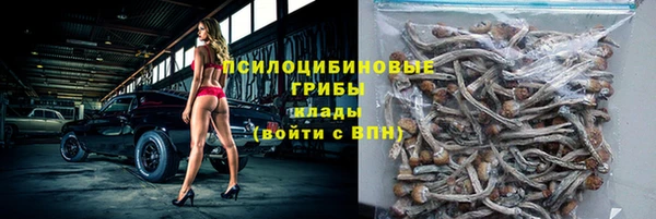 МДПВ Магас