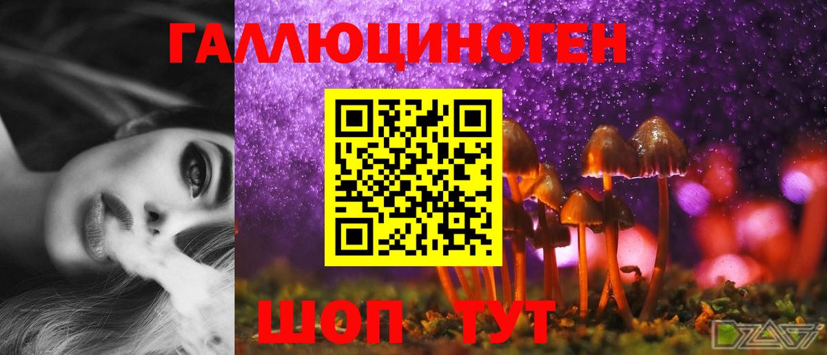Галлюциногенные грибы ЛСД  купить наркотики цена  Галлюциногенные грибы мицелий  Сунжа 