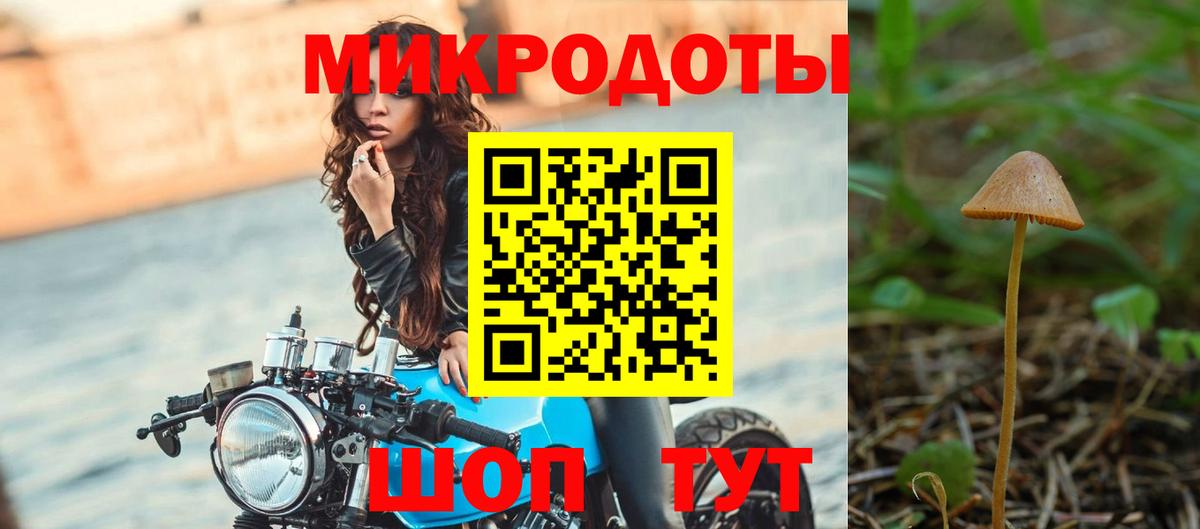 Сунжа  купить   Галлюциногенные грибы Psilocybine cubensis  Вход с VPN  Псилоцибиновые грибы GOLDEN TEACHER 