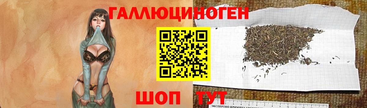 Псилоцибиновые грибы ЛСД Сунжа